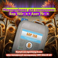 Бор для Соняшнику: Ключ до максимального урожаю та прибутку