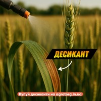 Яким препаратом зробити десикацію пшениці, сої чи соняшнику?