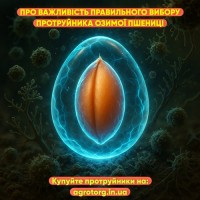 Як підібрати протруйник для озимої пшениці?