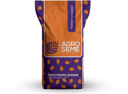 ІНАРІЯ кукурудза ФАО 260