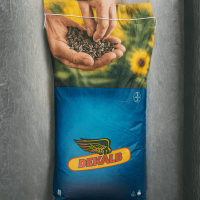 Гибрид подсолнечника Бельведер (Belveder) от DEKALB (Bayer): Рекордное масло и эталон стабильности!
