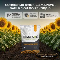 Гібрид соняшнику Флокі (ДеМаркус) — переваги, характеристики та урожайність Гібрид соняшнику Флокі (ДеМаркус) — переваги, характеристики та урожайність