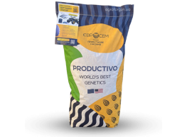 ІС ПРО 521 соняшник