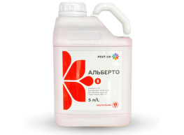 Альберто протруйник (5л)