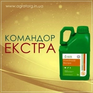 Командор Екстра