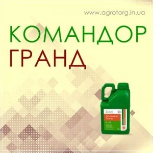 Командор Гранд протруйник