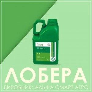 Лобера гербіцид