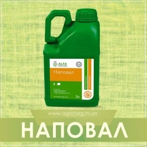 Наповал инсектицид