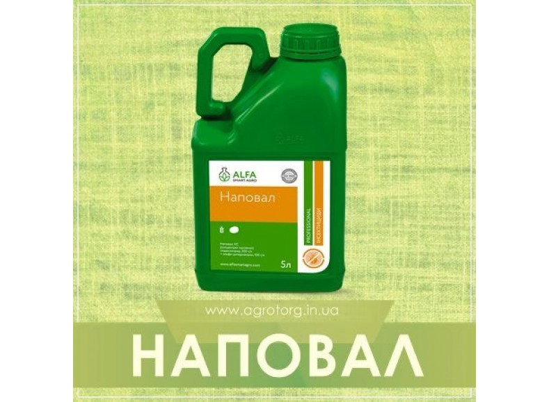 Наповал инсектицид
