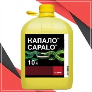 Капало фунгіцид