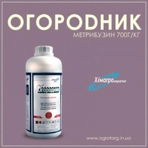 Огородник гербицид