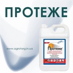 Протеже