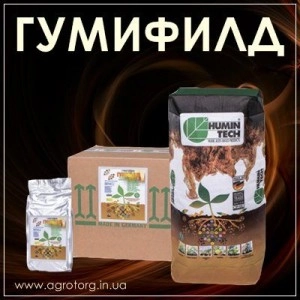 Гумифилд удобрение