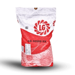 LG 50559 SX соняшник