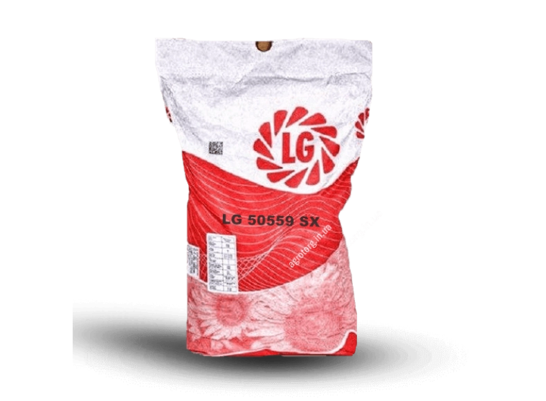Подсолнечник LG 50559 SX