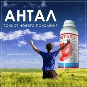 Антал 1л протруйник