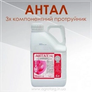 Антал 5л