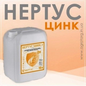 Цинк Нертус