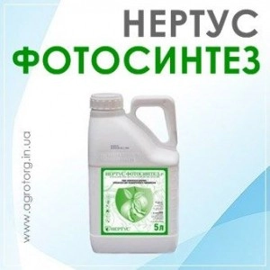 Фотосинтез Нертус 5л