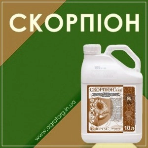 Скорпион десикант
