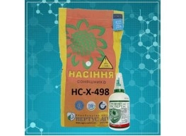 НС-Х-498 элит подсолнечник Нертус