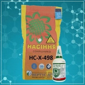 НС-Х-498 элит подсолнечник Нертус