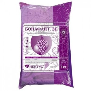 Бонафайт Нертус