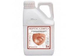 Старт Нертус