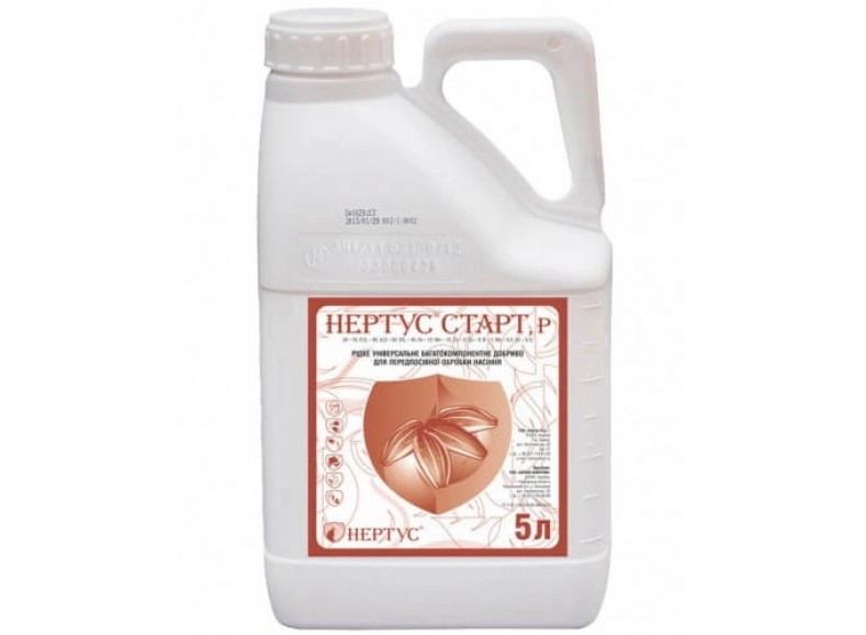 Старт Нертус