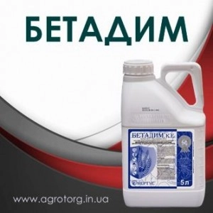 Бетадим інсектицид