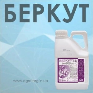 Беркут фунгіцид
