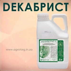 Декабрист 480 гербіцид