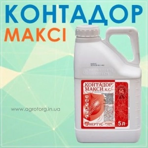Контадор Максі протруйник