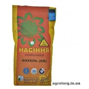 Анхель OR