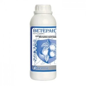 Ветеран Нертус