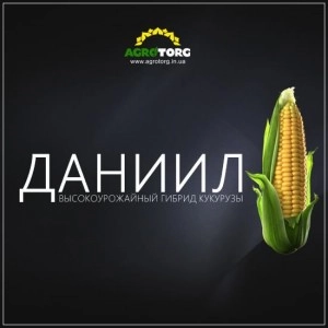 Кукуруза Даниил