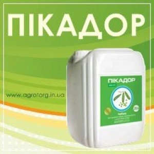 Пікадор Укравіт