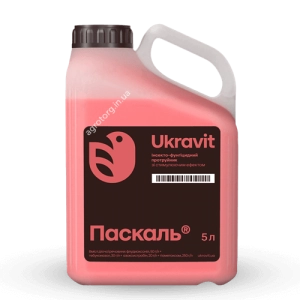 Паскаль протруйник