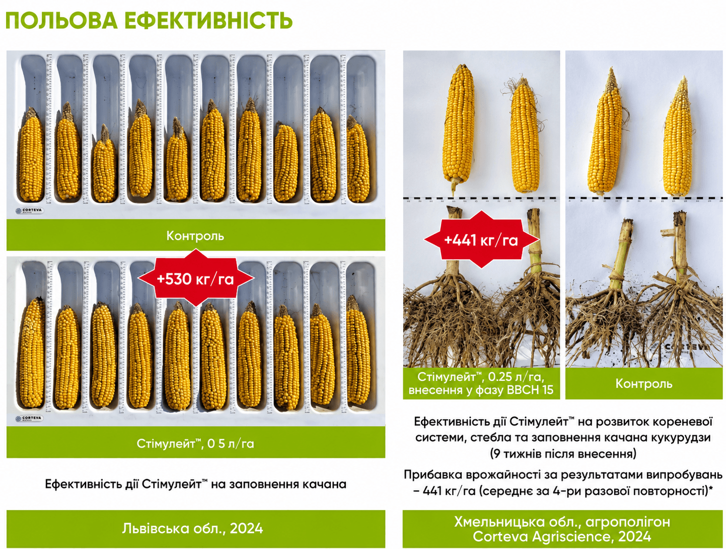 Ефективність застосування стимулятора росту Стімулейт на кукурудзі